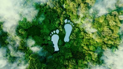 A lake in the shape of human footprints in the middle of a lush forest as a metaphor for the impact of human activity on the landscape and nature in general. 3d rendering.